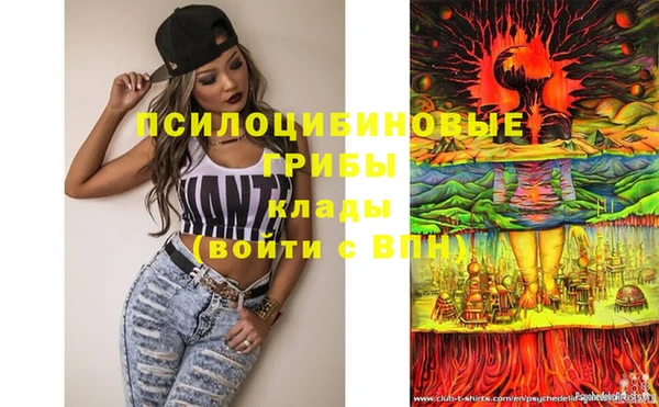 дмт Алексеевка