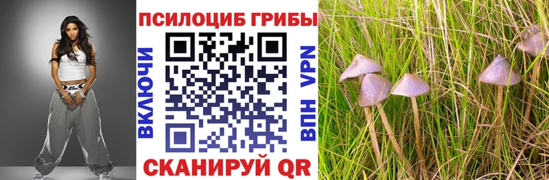 Галлюциногенные грибы ЛСД Енисейск