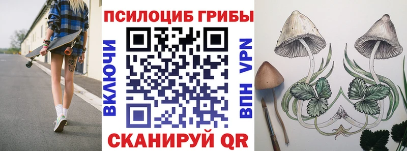 Галлюциногенные грибы MAGIC MUSHROOMS Енисейск